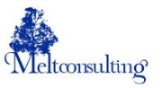 Melt Consulting